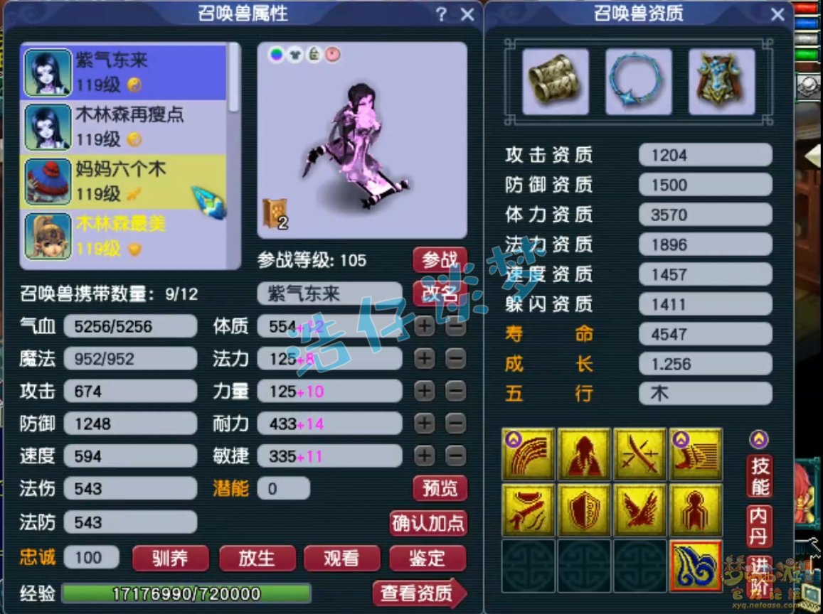 梦幻西游百套花果山109级装备展示图