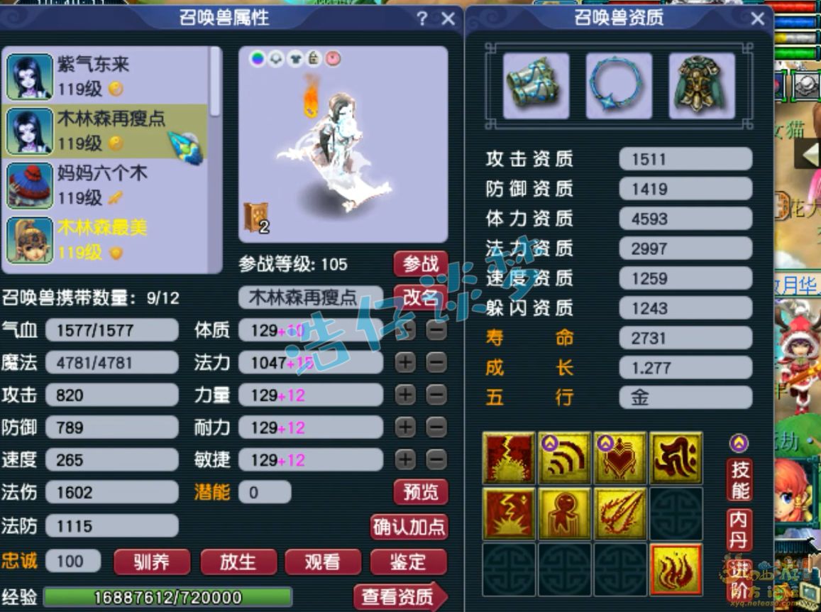 梦幻西游百套花果山109级装备展示图