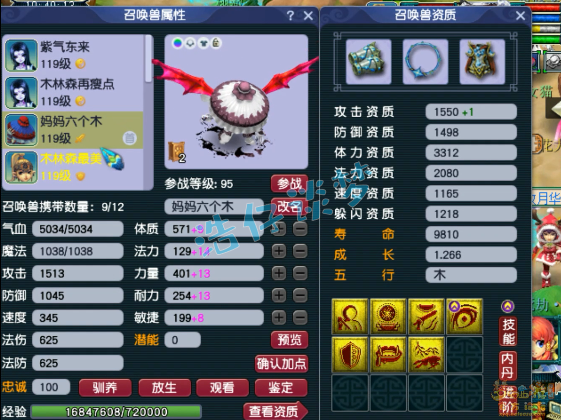 梦幻西游百套花果山109级装备展示图