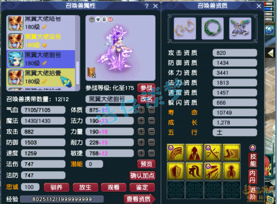 梦幻西游力普陀山装备展示图175级