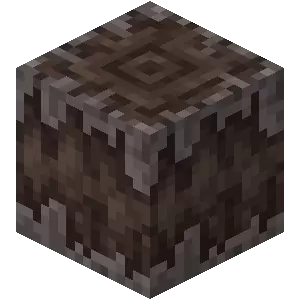 我的世界嘎枝之心有什么2025