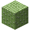 我的世界植物魔法台阶合成表大全