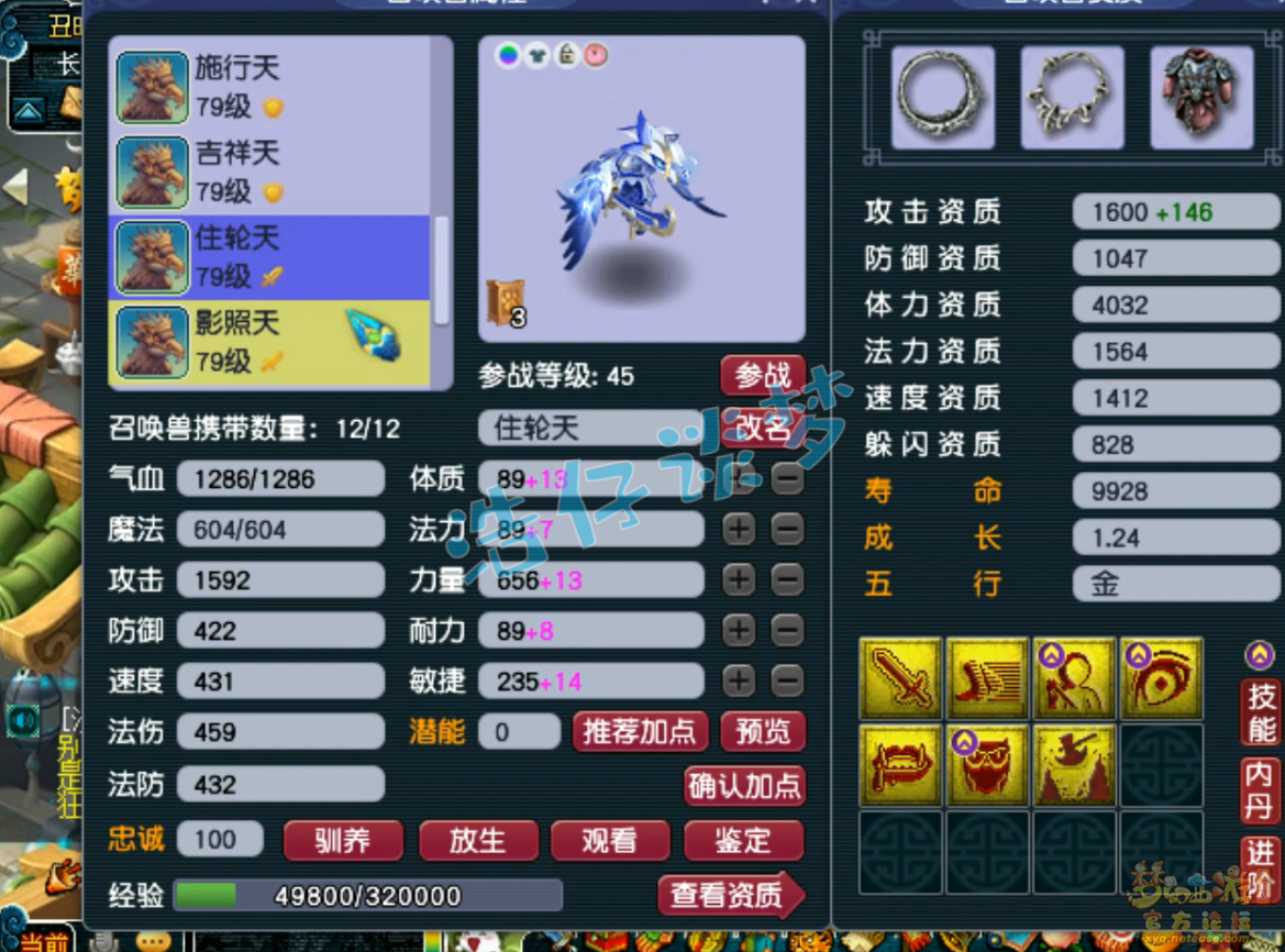 梦幻西游69单挑天宫装备展示图