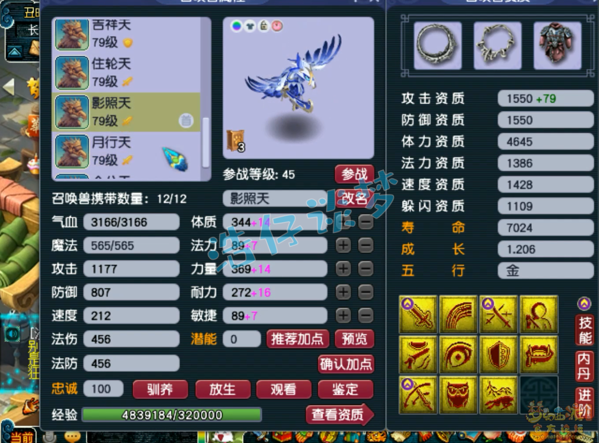 梦幻西游69单挑天宫装备展示图