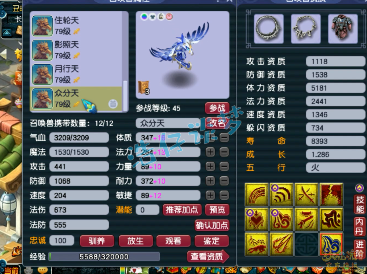 梦幻西游69单挑天宫装备展示图