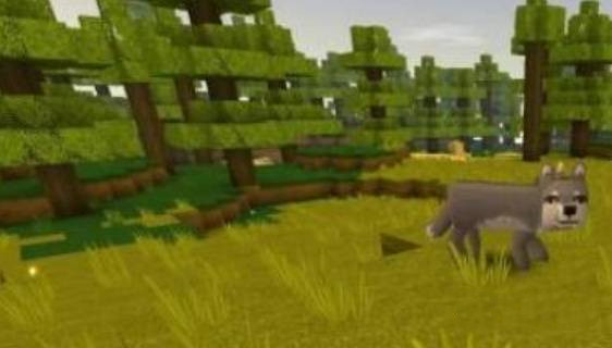 迷你世界里面的狼怎么驯服?