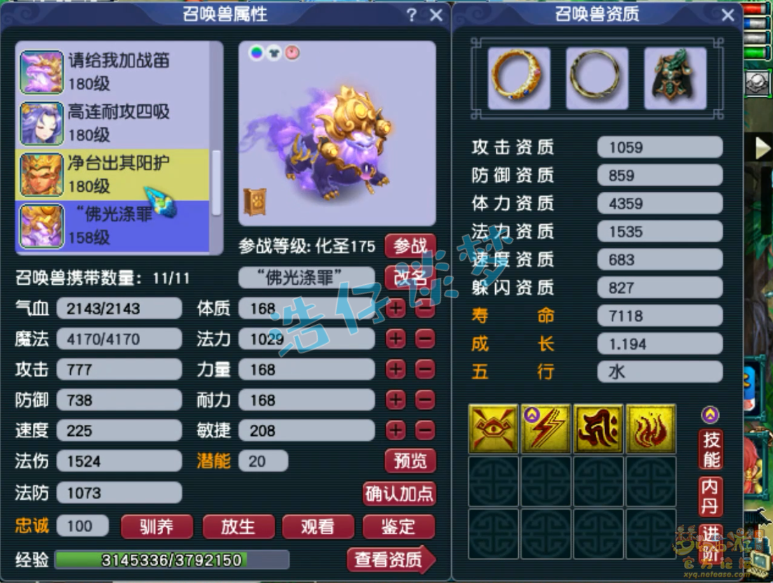 梦幻西游力化生175级装备展示图