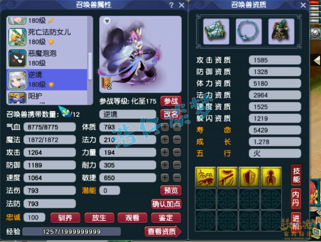 梦幻西游力五庄观175级装备展示图