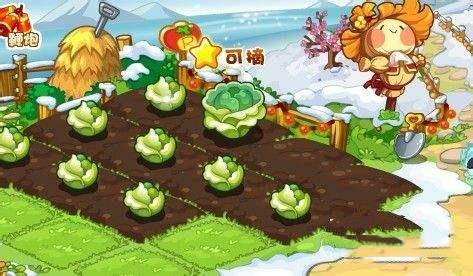 洛克王国木条如何获得