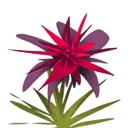 迷你世界作物类所有方块大全