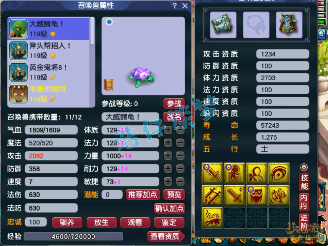 梦幻西游109物暴狮驼岭装备展示图