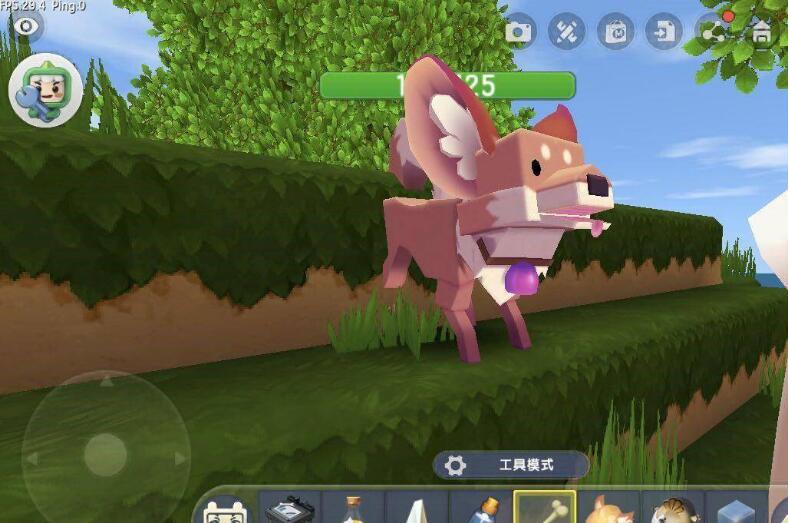 迷你世界怎么驯服狐狸用什么食物喂养