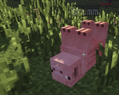 我的世界如何用命名牌让生物倒立