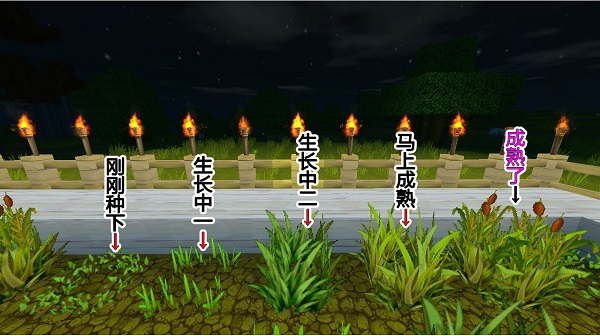 迷你世界怎么弄耕地