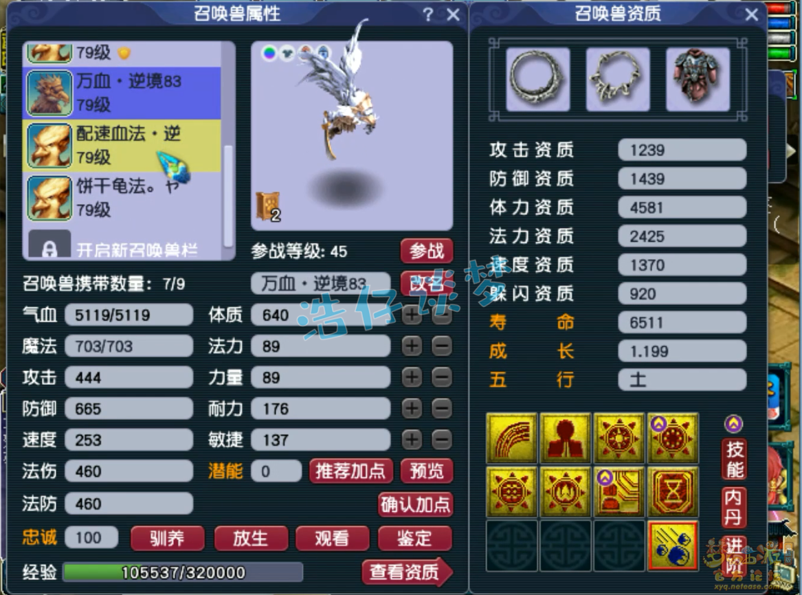 梦幻西游普陀山装备展示图70级