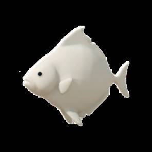 逃离鸭科夫白扁鱼在哪钓