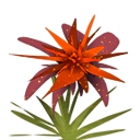 迷你世界怎么做香溢煎蛋面条2026