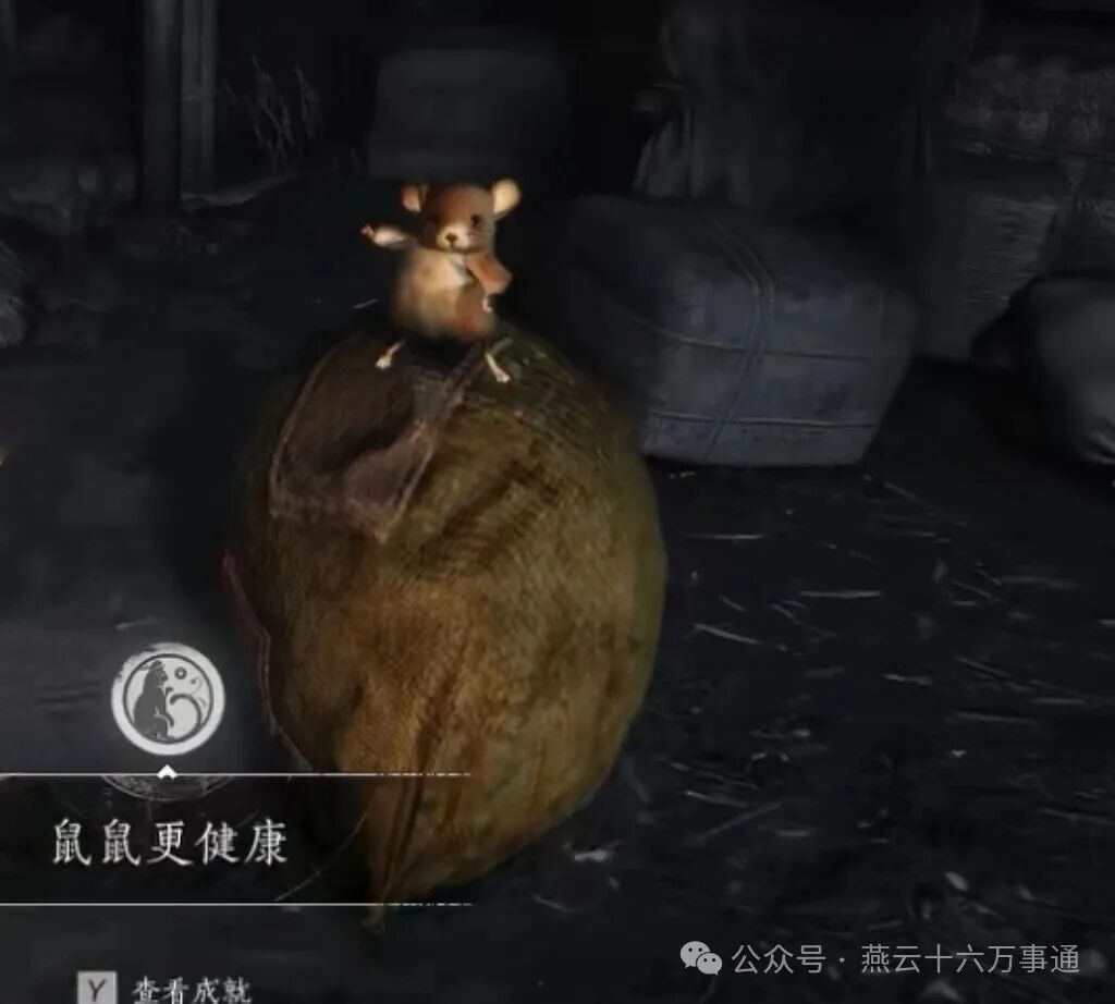 燕云十六声鼠鼠更健康成就攻略