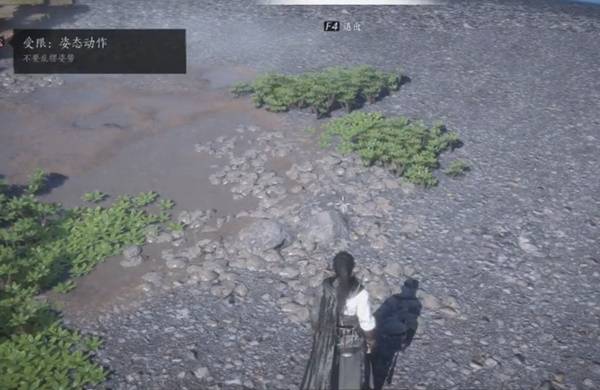 燕云十六声柿业有成活动攻略