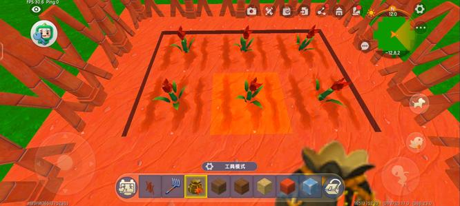 迷你世界彼岸菠萝怎么种2026年的