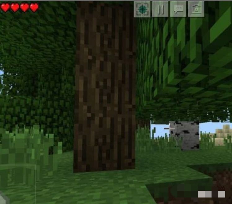 我的世界怎么传送具体坐标2026