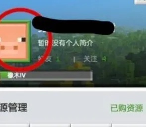 我的世界怎么改名字网易版2026年