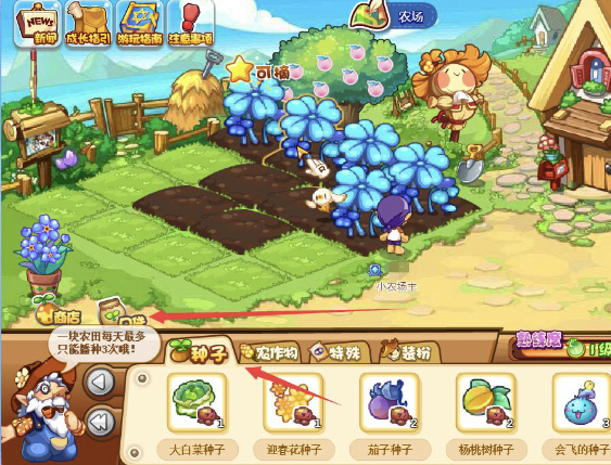 洛克王国白菜怎么得2026