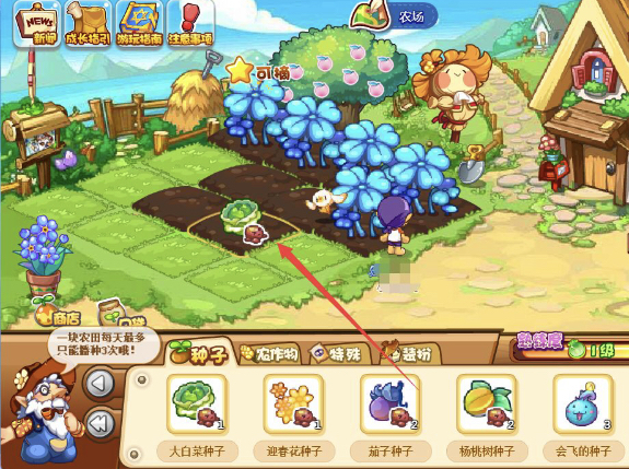 洛克王国白菜怎么得2026