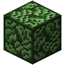 我的世界暮色森林合成表大全2026