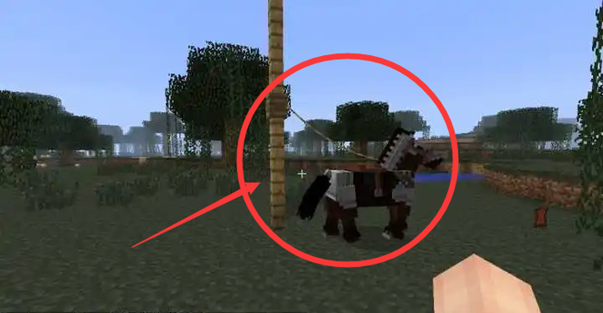 我的世界动物怎么栓住2026