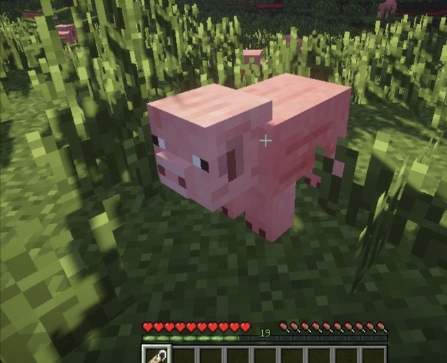 我的世界如何让生物倒起来2026