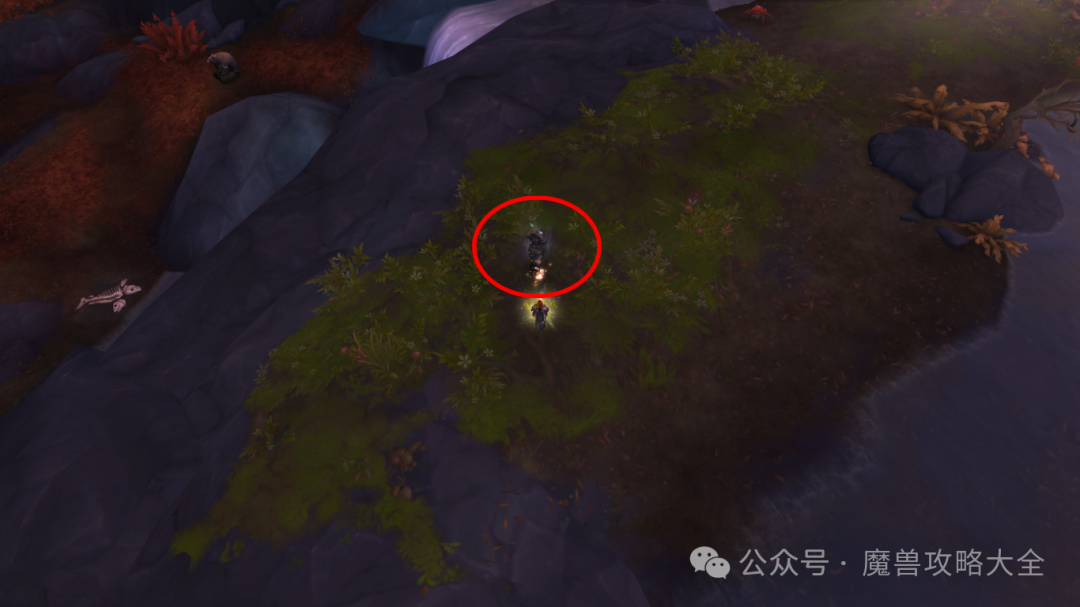 魔兽世界先祖战熊怎么获得