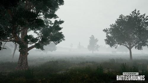 《绝地求生》怎么玩雾天和雨天