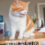 《LOL》8.11新兴套路介绍