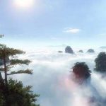 《逆水寒》舞阳城老三bug回顾