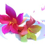 《LOL》英雄重做：EZ以及莫甘娜确定