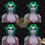 《魔兽世界》8.1暗夜精灵幻化模型预览