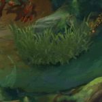 《LOL》妮蔻技能加点推荐