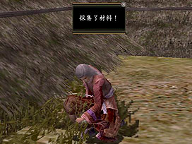 《信长之野望OL》采集系统攻略