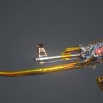 《CF》最没排面的近战英雄武器