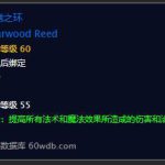 《魔兽世界》怀旧服前期神器介绍