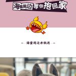 今年CJ来N1-06《龙之谷》展区！看赛事/玩游戏/赢周边