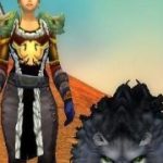 《魔兽世界》怀旧服猎人升级路线介绍