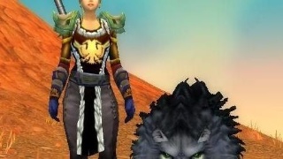 《魔兽世界》怀旧服猎人升级路线介绍