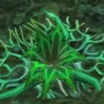 《魔兽世界》怀旧服荆棘藻采摘地点
