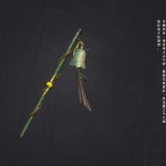 《剑网3》丐帮特效武器获取攻略