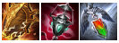 《LOL》S10奶妈出装推荐