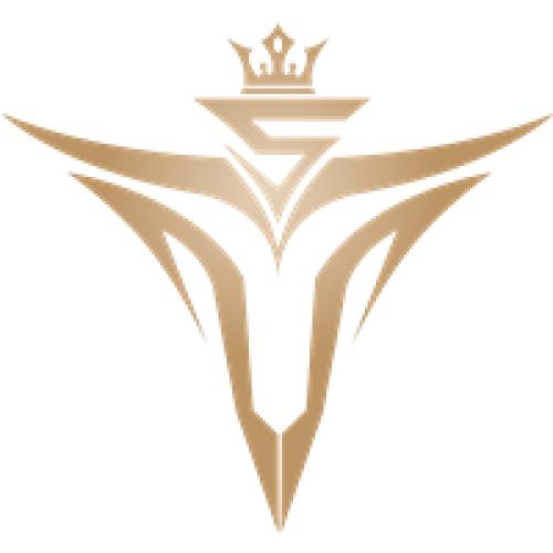 《LOL》V5S10战队队员国籍