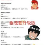 《DNF》100SS装备属性介绍