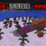 《我的世界》凋零玫瑰用处介绍